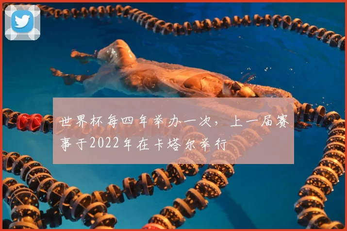 世界杯每四年举办一次，上一届赛事于2022年在卡塔尔举行
