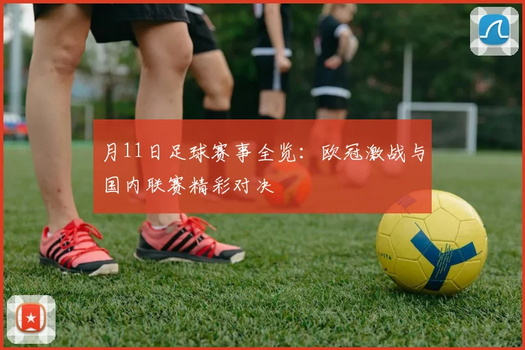 月11日足球赛事全览：欧冠激战与国内联赛精彩对决